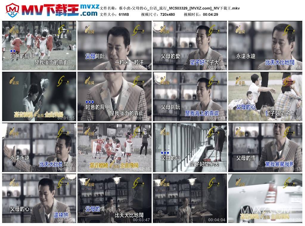 蔡小虎-父母的心_台语_流行_MC503329